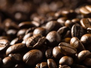 closeup view of coffee beans